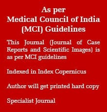 MCI Guidelines